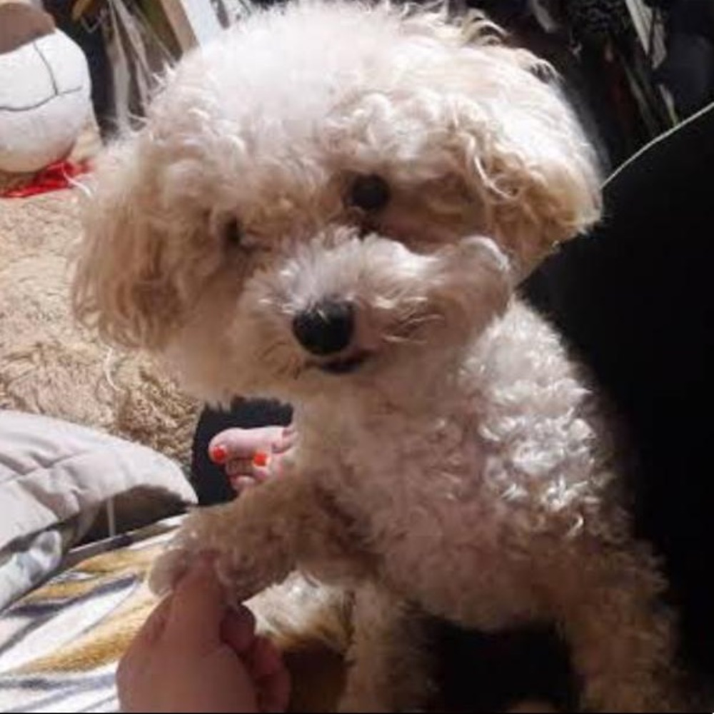 Meet your Posher, Karina